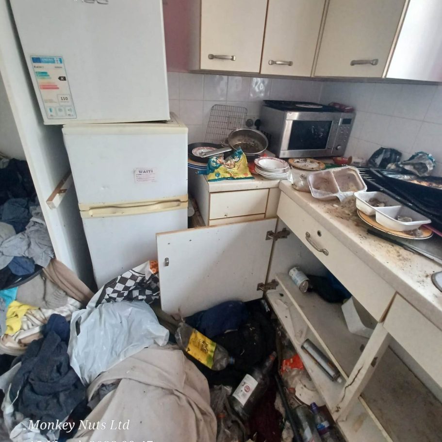 Extreme and Deep cleaning services