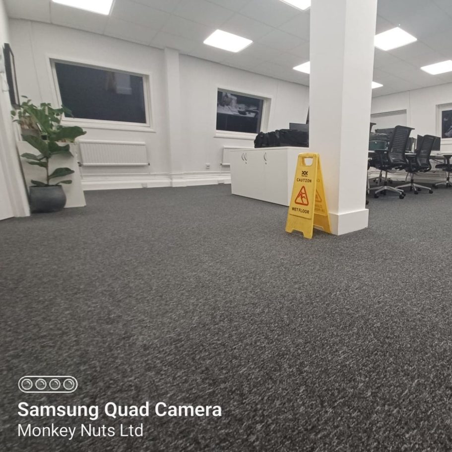 Carpet cleaners